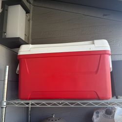 Igloo Cooler 