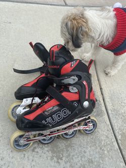 Hudora skates