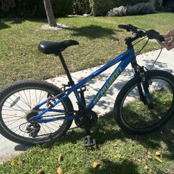 Schwinn Thrasher Bike