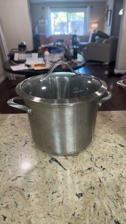 8 quart stock pot