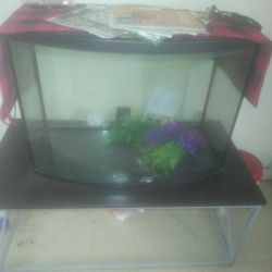 Fish Tank 