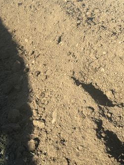 Free Garden Soil Dirt