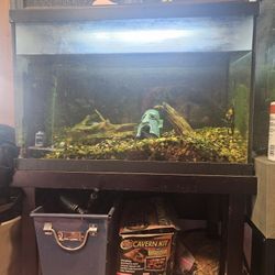 35 Gallon Fish Tank Everything Included!