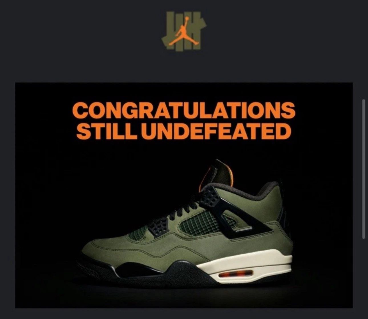 Jordan 4 Undefeated Size 12