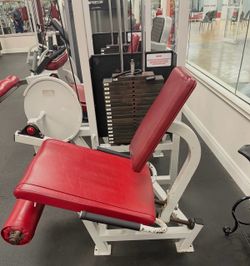 Life Fitness Pro 2 leg extension