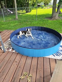 NEW Dog Pool Kiddie Pool 