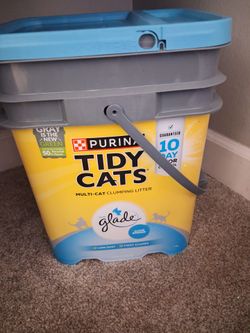 Cat Litter