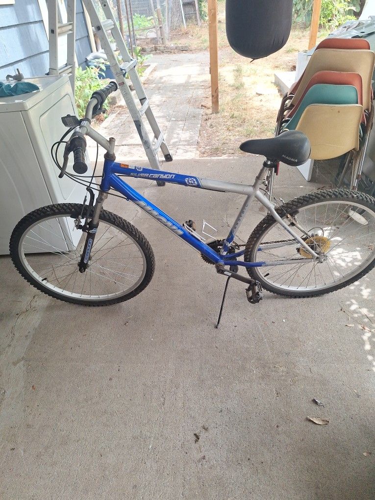 Magna Bicycle