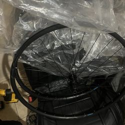Bike Wheels Shimano Rs