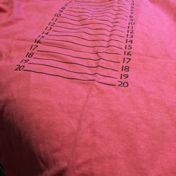 Lady Length Check Shirt