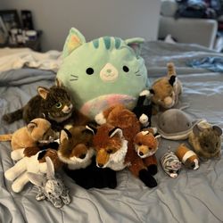 Stuffed Animals