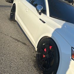 Audi Rims