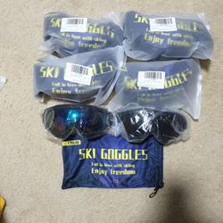 Ski Goggles