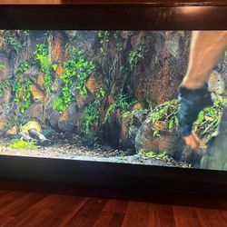 55” VIZIO 4K SMART TV