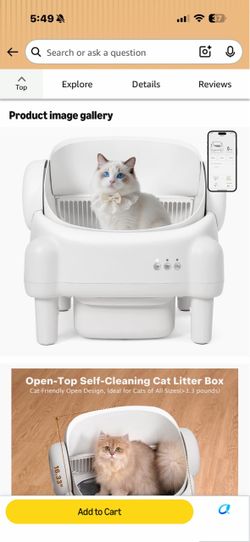 Automatic Cat little box