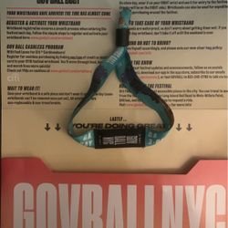 Governors Ball 3 Day Pass 