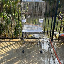 Bird Cage