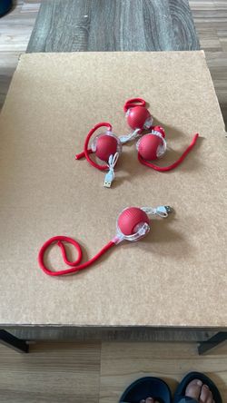 Cat and dog Toys