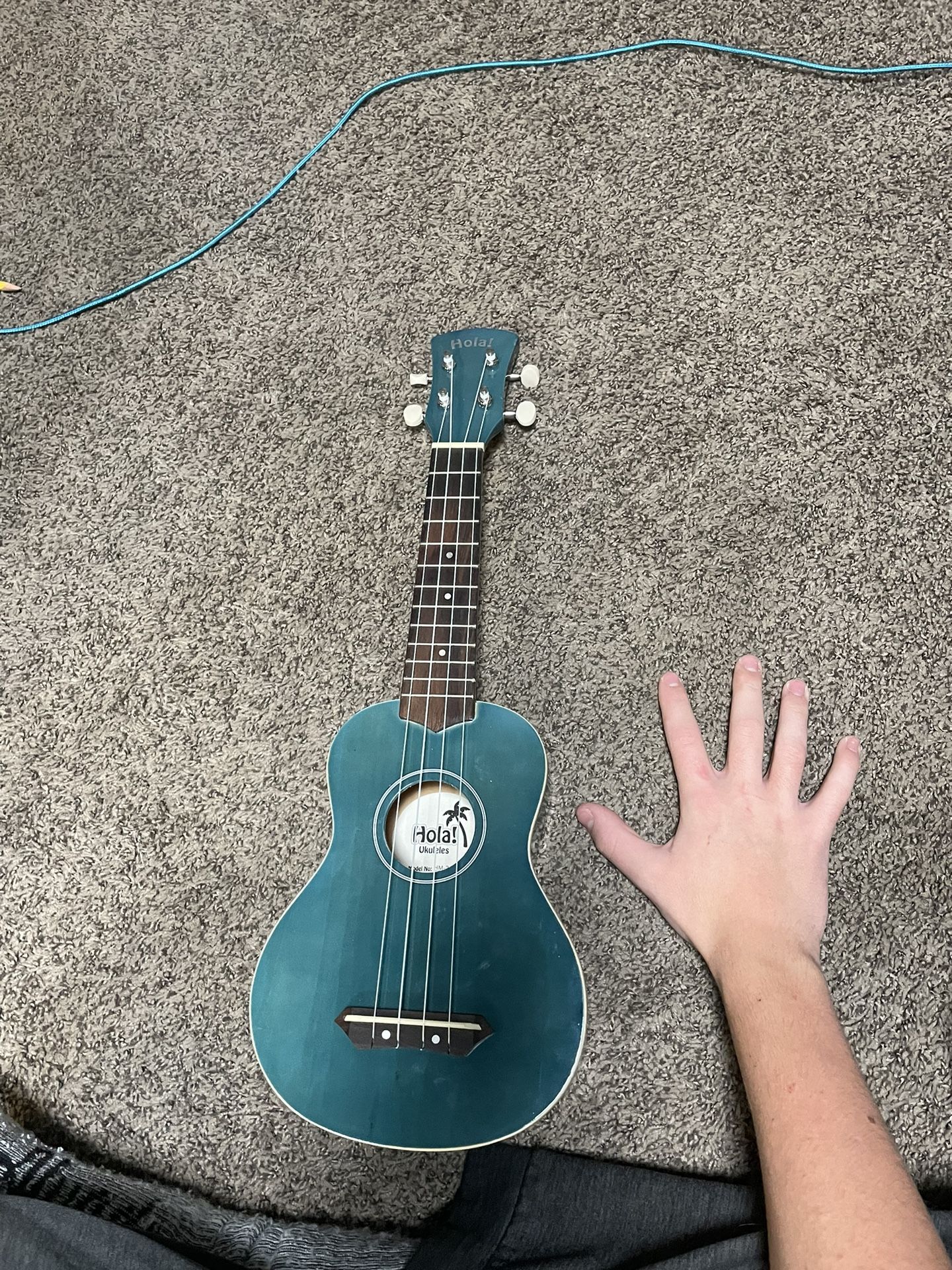 Ukulele 