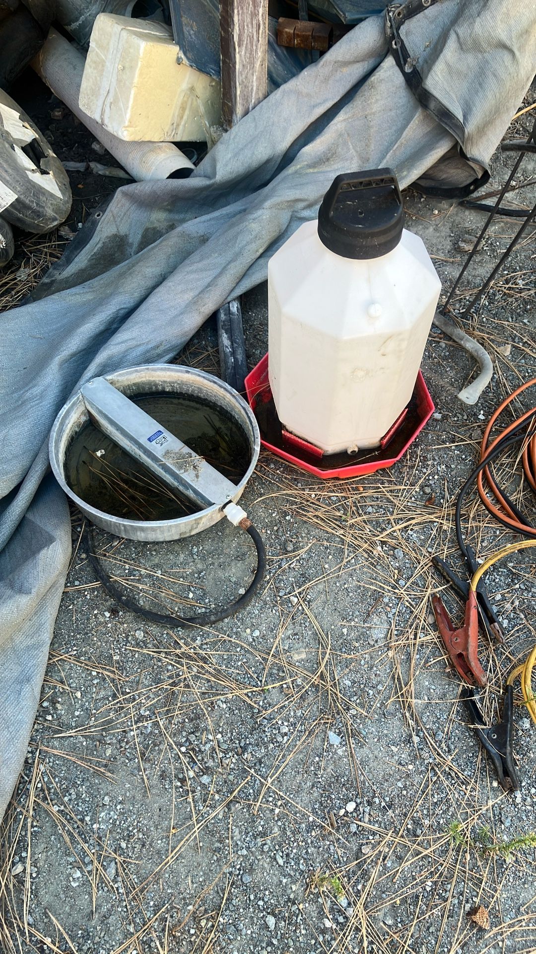 Chicken and dog water bowls, automatic, Phill five bucks or both of them