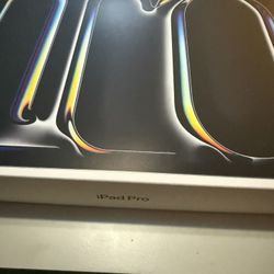 iPad Pro 13 Inch 512gb WiFi + Cellular (M4)