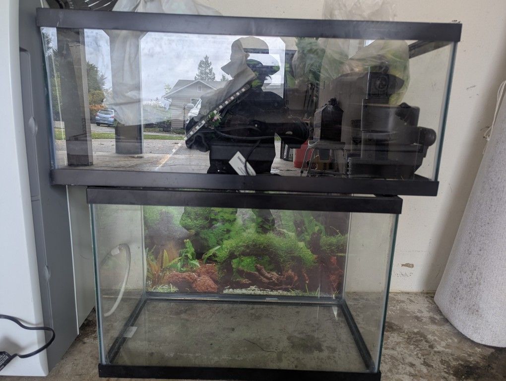 Fish Tanks 