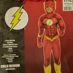 The Flash Halloween Costume