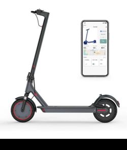 LADPED Electric Scooter