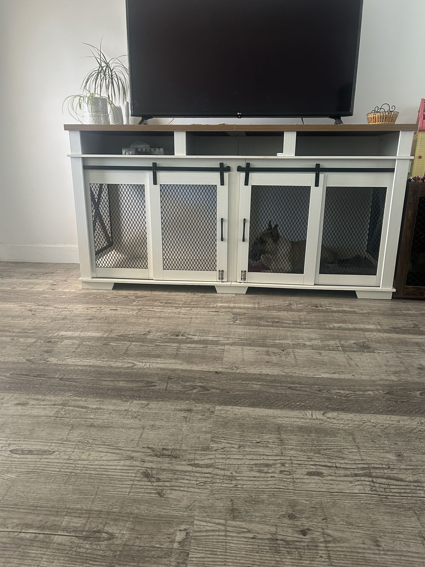 Dog Kennel