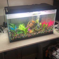 Fish Tank