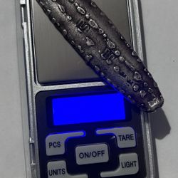 Silver Tiger Tongue 1(contact info removed) Thailand,Burma,Laos