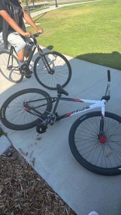 Throne goon 29er