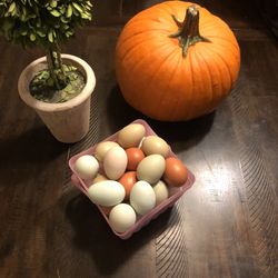 The Best Farm Fresh Chicken Eggs