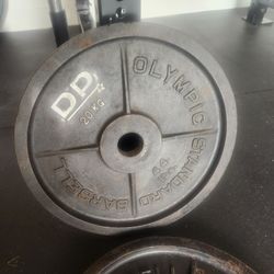 20 kg (44 lbs) Olympic Weights 