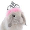 Iron Rabbit