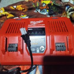 Milwaukee dual fast charger 