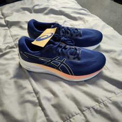 Asics Shoes Size 11