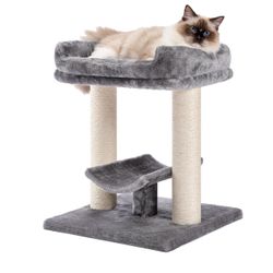 PETEPELA 19" Scratching Post, Cat Tree R(15)