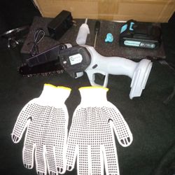 We Have Two Electric Mini Chainsaws With 6 To 8 Inch Bars And Some Extra Safety Gear That Will Be Sending With Each Box We Have Two Of Them,    $40 Ea