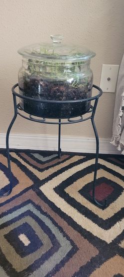 Terrarium and Plant Stand (w/ Pellonia plant)