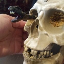 Halloween decoration