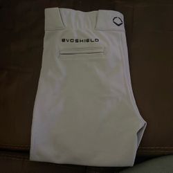 Evoshield YXL Gray Short Baseball Pants