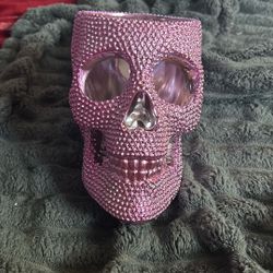 A Skull thing that u can put stuff in