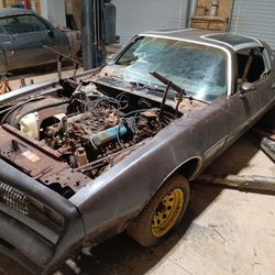 Two 1977 Firebird 