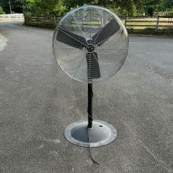 Fan - Large Pedestal