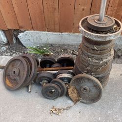 Weights + Bars + Bench