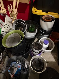 Plant Accessories