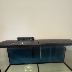 55 Gallon Fish Tank