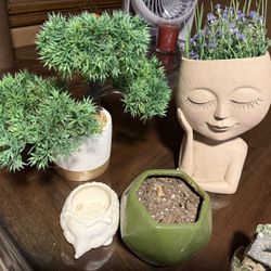 Fake Plants All $20