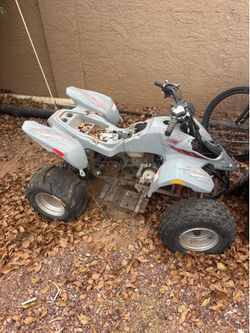 Polaris quad rollers